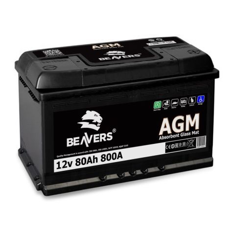 AGM 800A sealed battery (312x175x190, L4, 580 02)